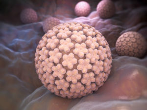 תמונת הדמייה של וירוס הפפילומה האנושי מקרוב